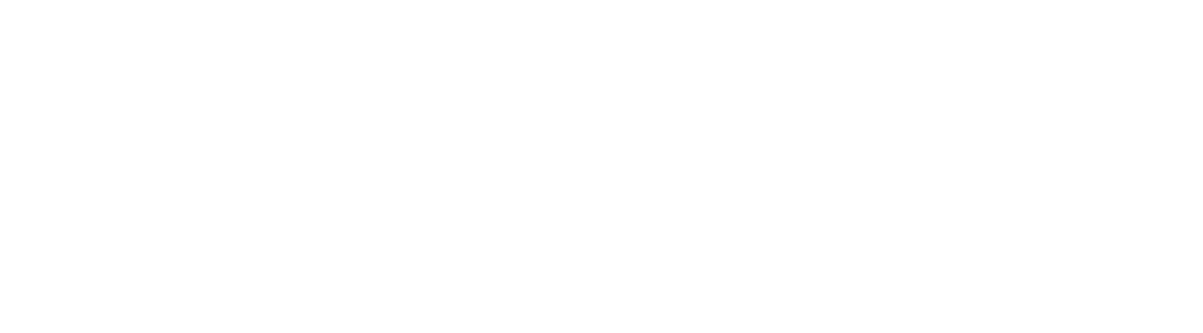 logo_inadem_no_text_white
